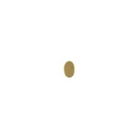 Oval Blank - Item S5860 - Salvadore Tool & Findings, Inc.