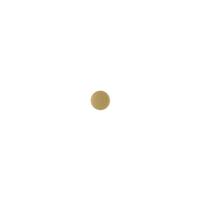Circle Blank - Item S5870 - Salvadore Tool & Findings, Inc.
