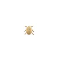 Beetle - Item S9268 - Salvadore Tool & Findings, Inc.
